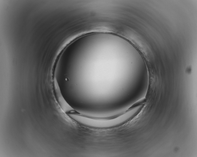 X0000097901192200803211434