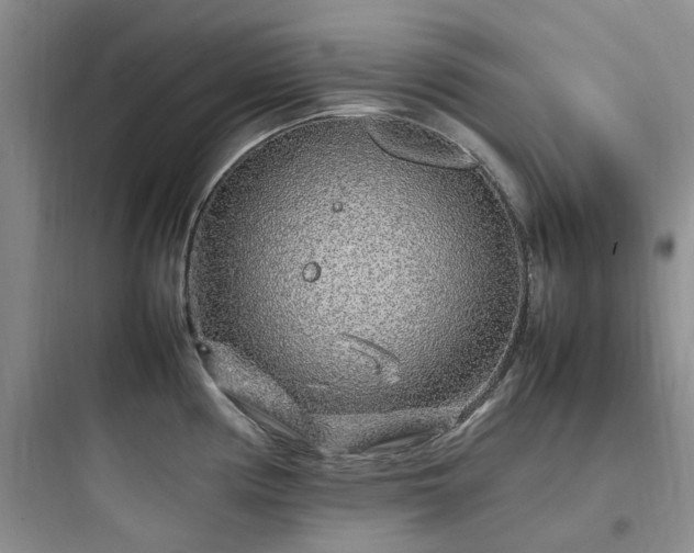 X0000097901194200803211434