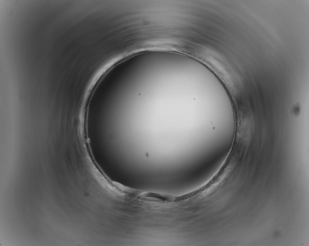 X0000097901196200803211434