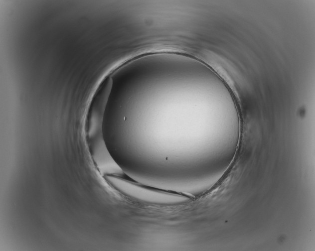 X0000097901197200803211434