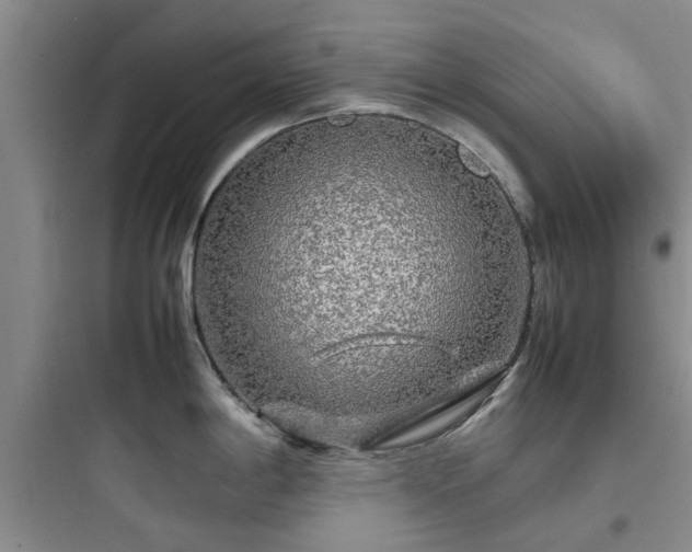 X0000097901198200803211434