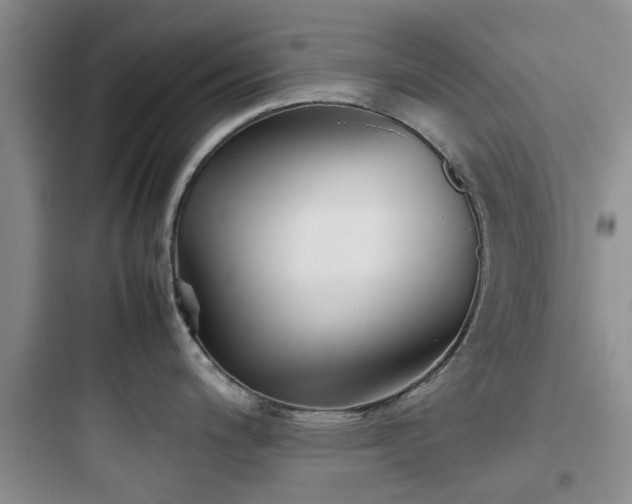 X0000097901200200803211434