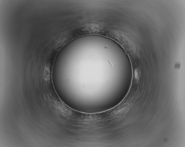 X0000097901203200803211433
