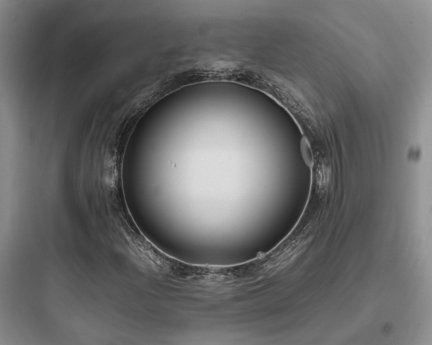 X0000097901204200803211433