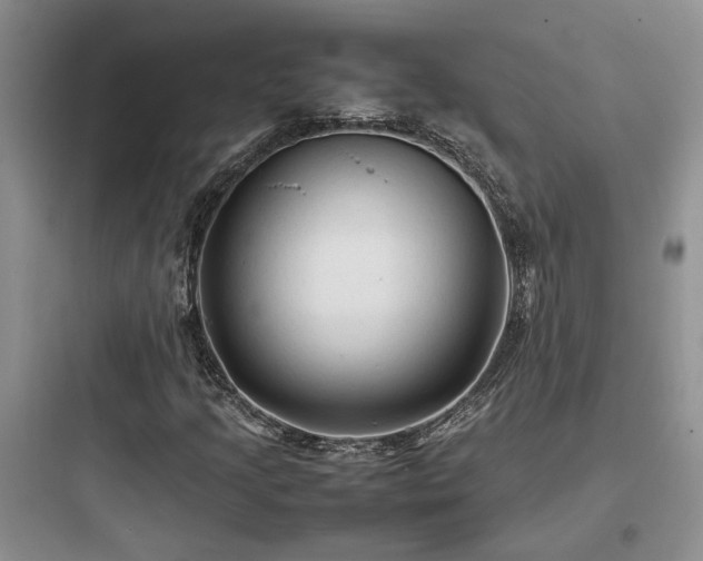 X0000097901205200803211433