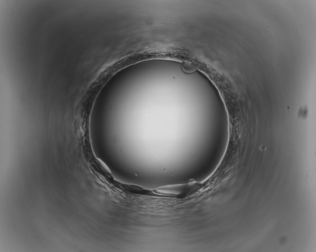X0000097901206200803211433