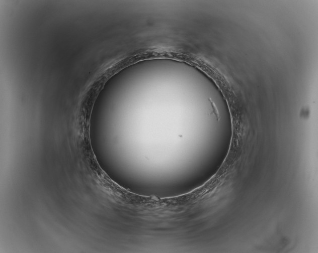 X0000097901207200803211433