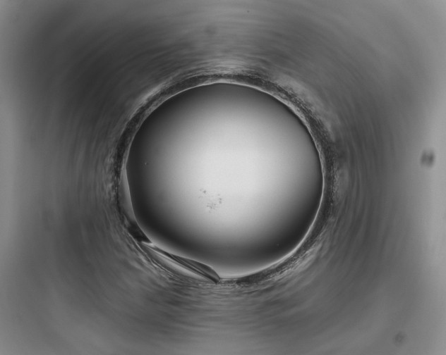 X0000097901210200803211433