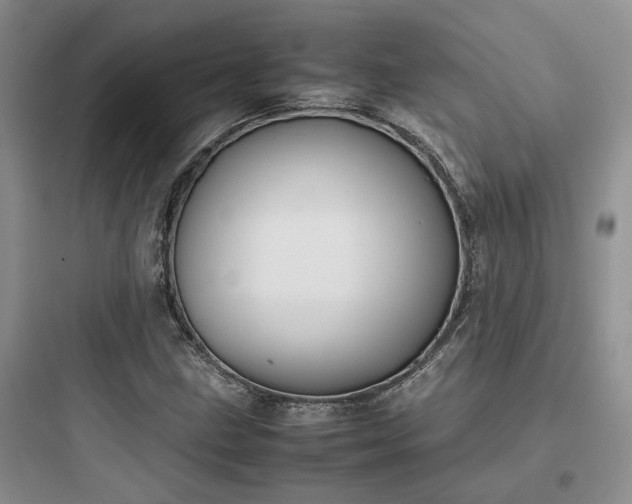 X0000097901211200803211433