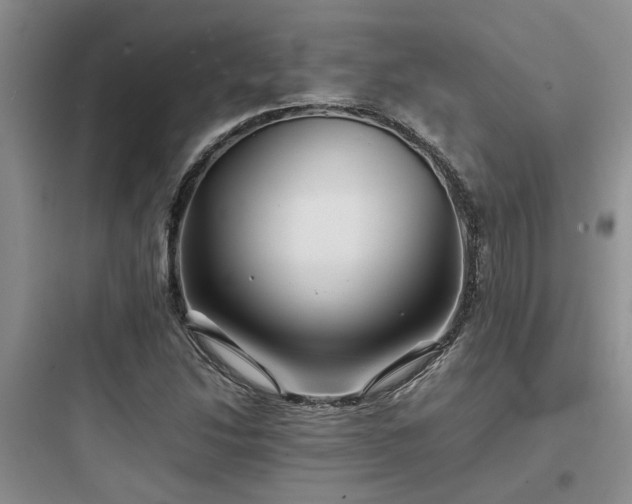 X0000097901214200803211433