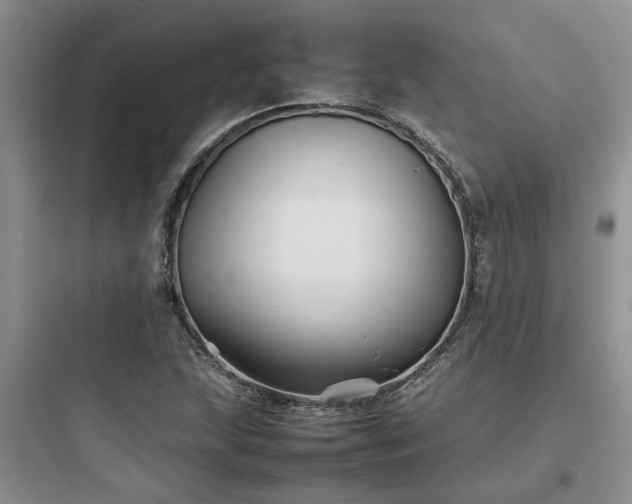 X0000097901215200803211434