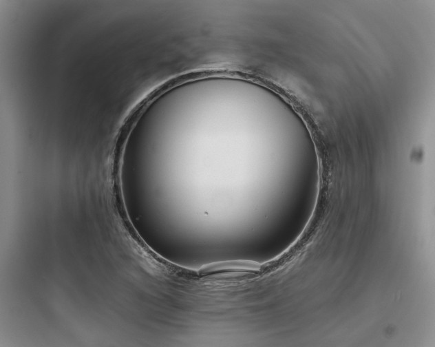 X0000097901216200803211434