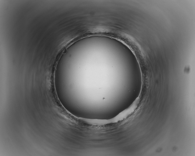X0000097901217200803211434