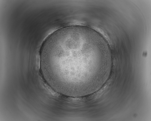 X0000097901219200803211434