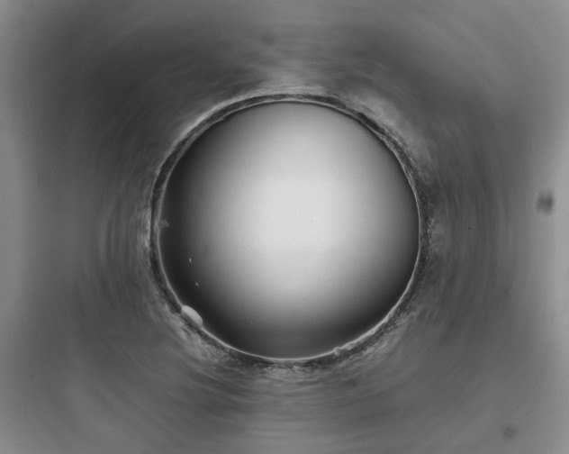 X0000097901220200803211434
