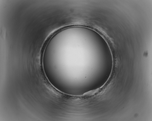 X0000097901222200803211434