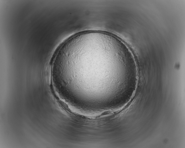 X0000097901223200803211434
