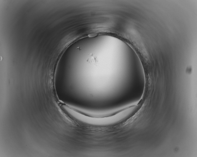 X0000097901225200803211434