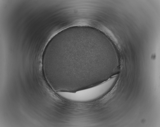 X0000097901226200803211434