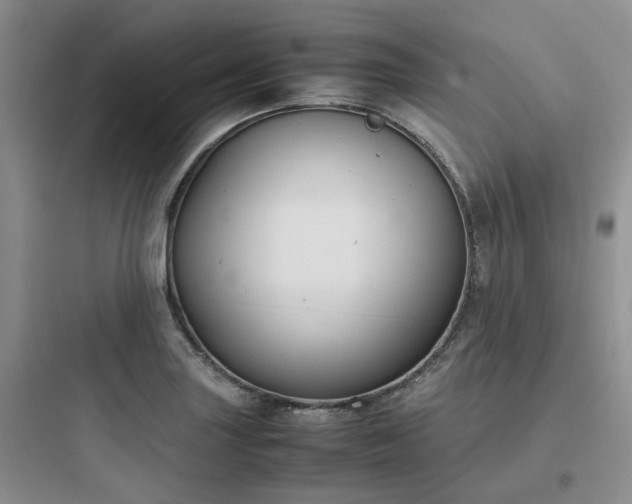 X0000097901227200803211434