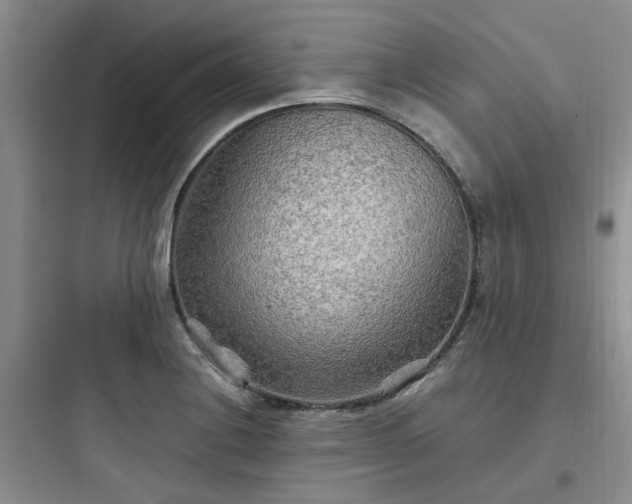 X0000097901228200803211434