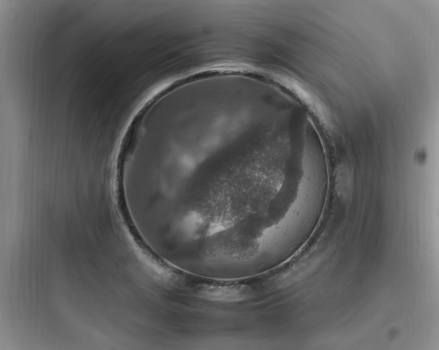 X0000097901229200803211434