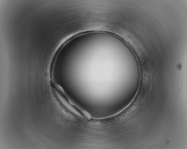 X0000097901230200803211434