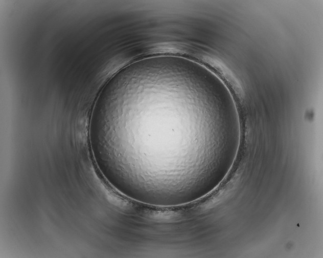 X0000097901233200803211434