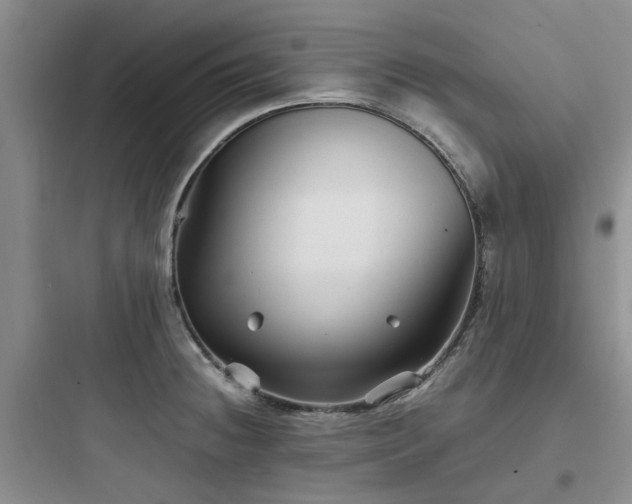 X0000097901236200803211434