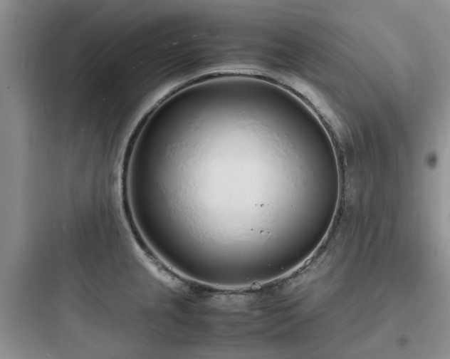 X0000097901237200803211434