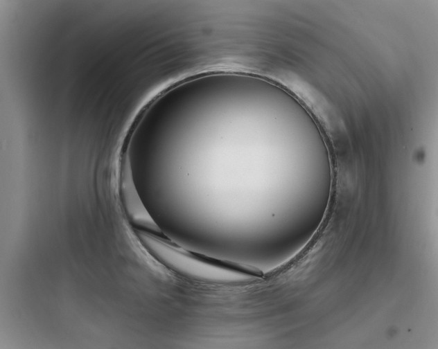 X0000097901238200803211434