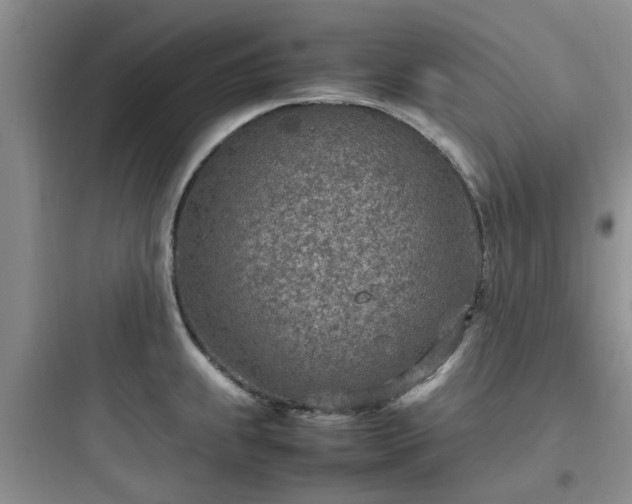 X0000097901239200803211434