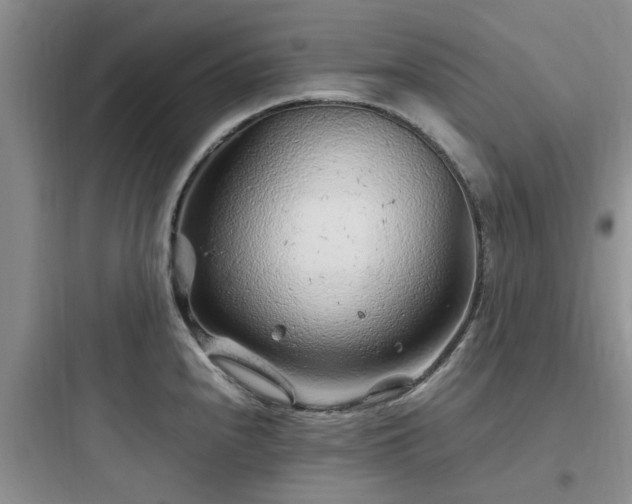 X0000097901240200803211434