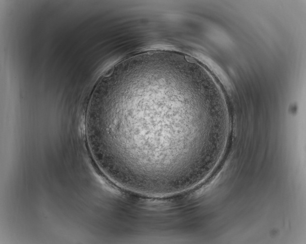 X0000097901241200803211434
