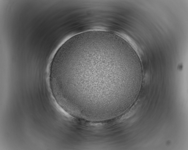 X0000097901243200803211434