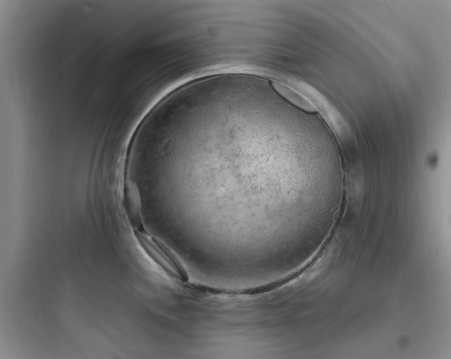 X0000097901244200803211434