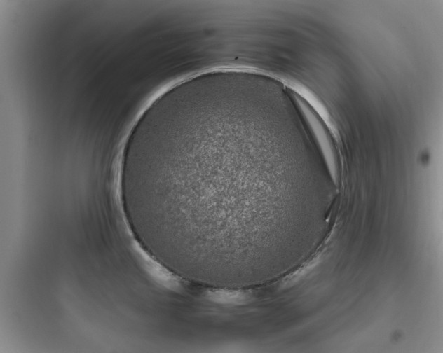 X0000097901245200803211434