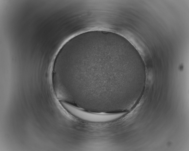 X0000097901246200803211434