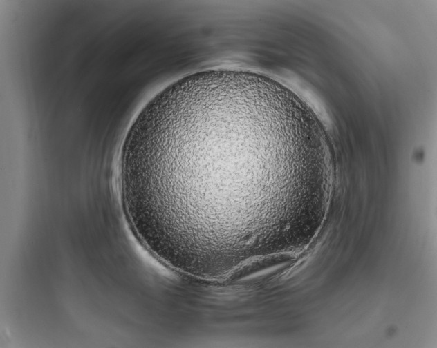 X0000097901247200803211434
