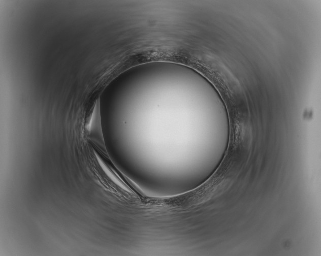 X0000097901250200803211433