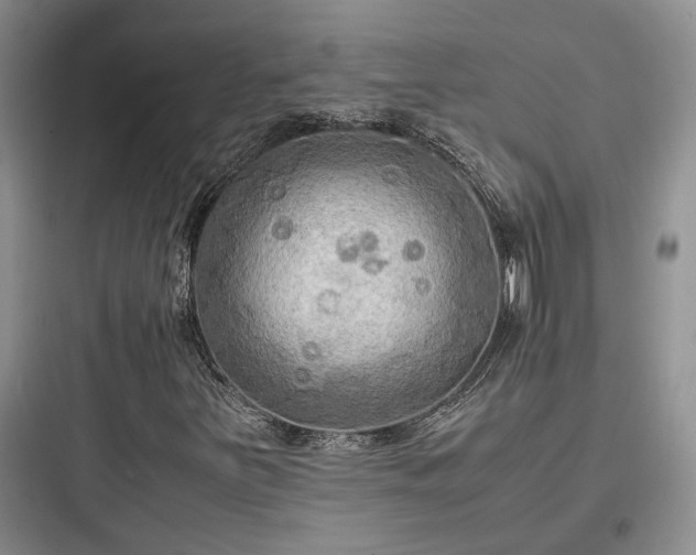 X0000097901251200803211433