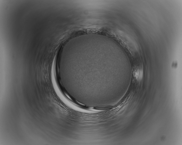 X0000097901252200803211433