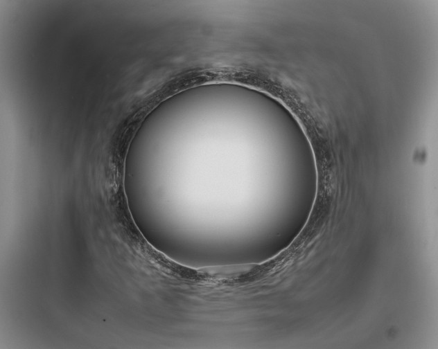 X0000097901253200803211433