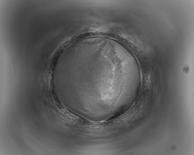 X0000097901254200803211433