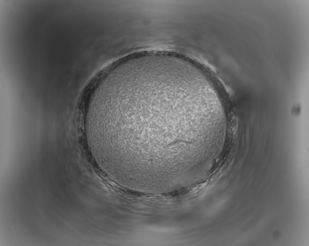 X0000097901255200803211433