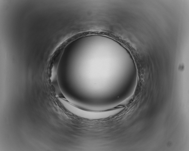 X0000097901256200803211433