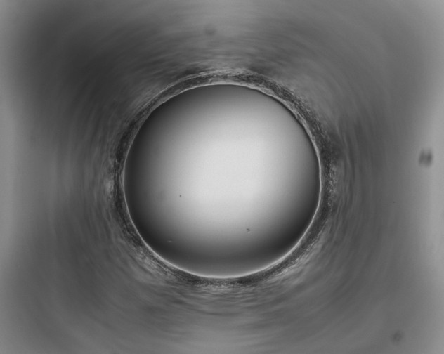 X0000097901257200803211433