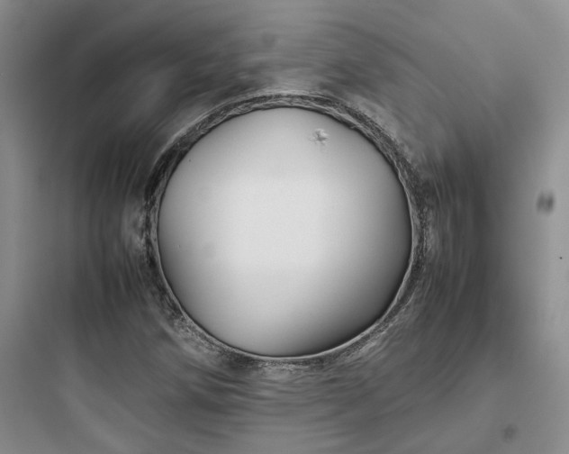 X0000097901258200803211433