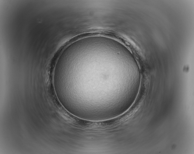 X0000097901259200803211433