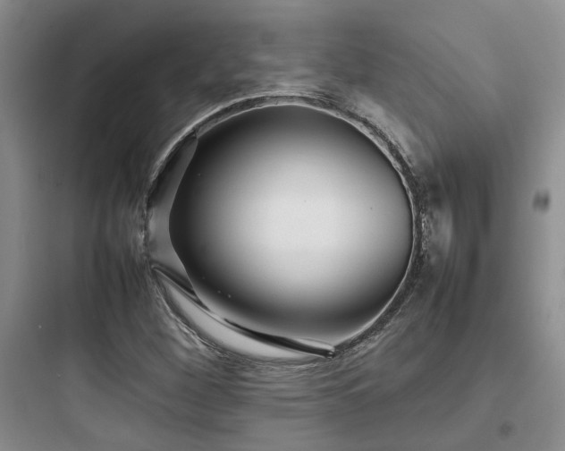 X0000097901260200803211433